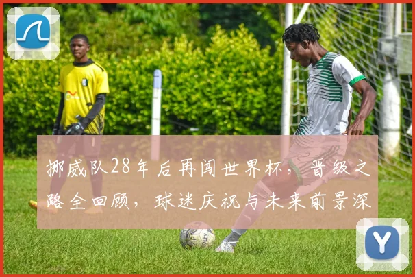 挪威队28年后再闯世界杯，晋级之路全回顾，球迷庆祝与未来前景深度解析